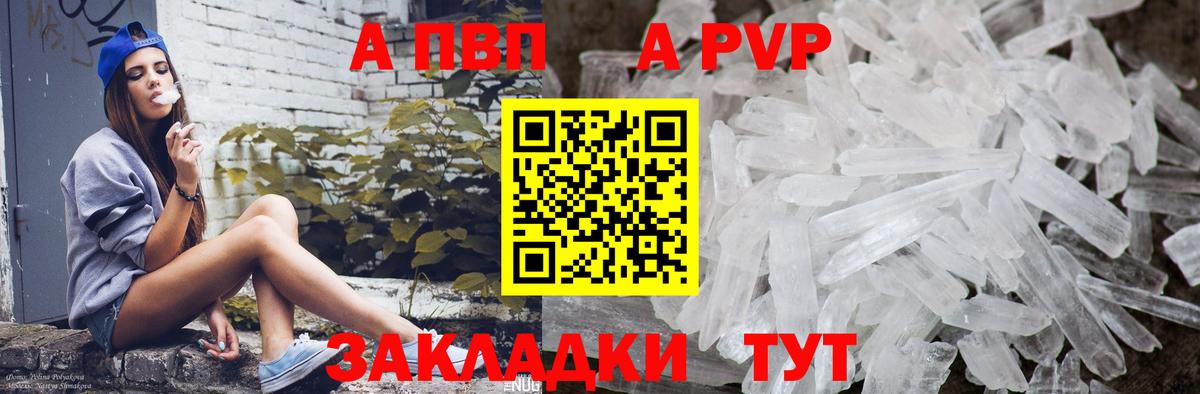 A-PVP СК Майкоп