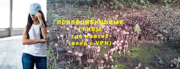 мяу мяу кристалл Алексин