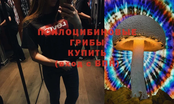 мяу мяу кристалл Алексин