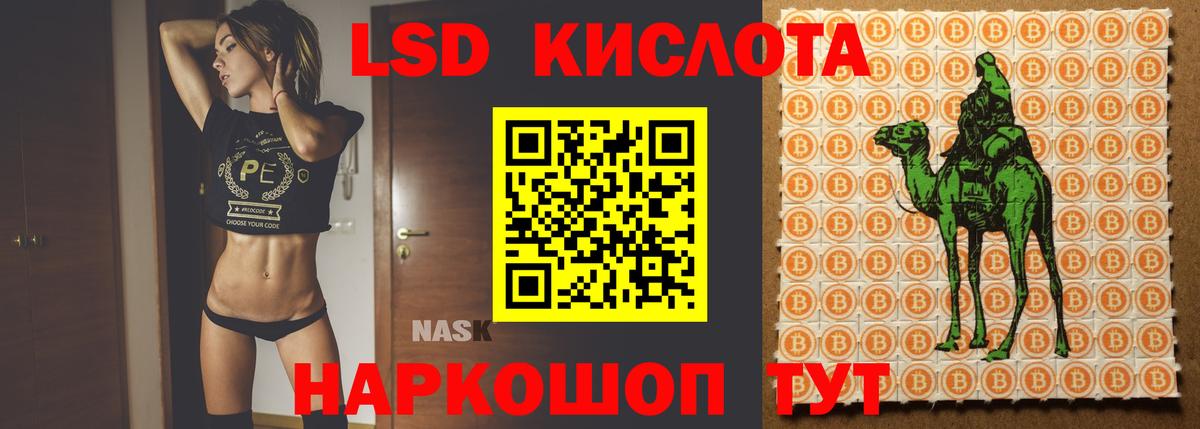Майкоп  ЛСД экстази кислота  LSD-25 экстази кислота  Вход с VPN 