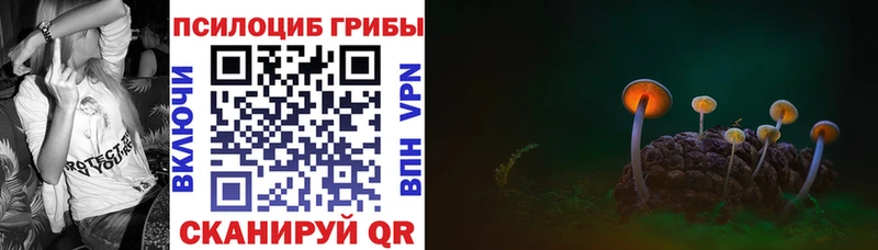 Галлюциногенные грибы мухоморы  Майкоп 
