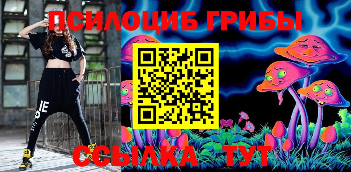 ГАШ Майкоп