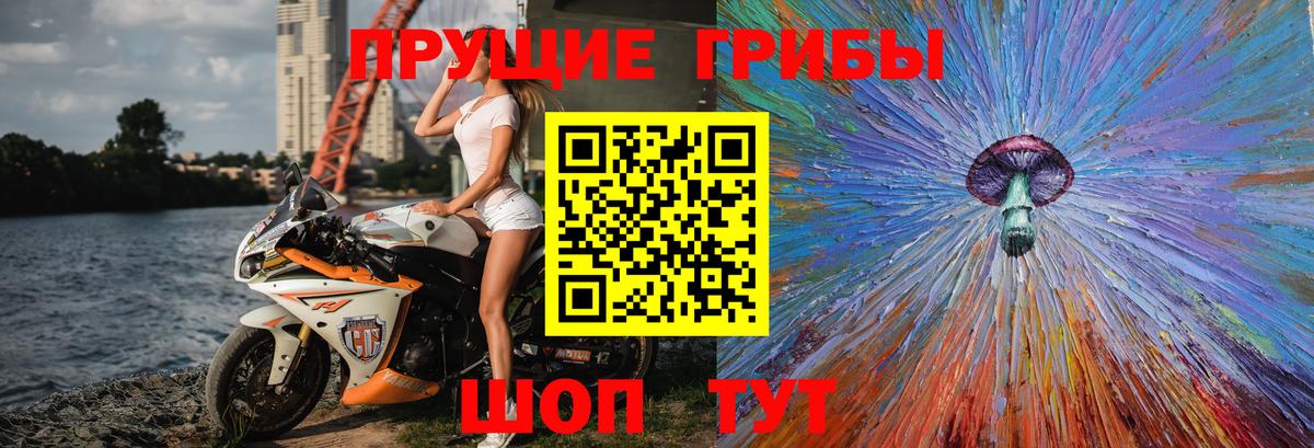 Псилоцибиновые грибы прущие грибы Майкоп